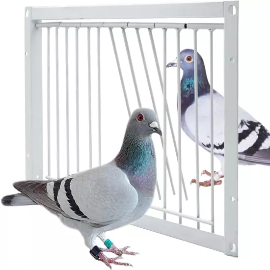 11.8In/30Cm Pigeon Cage Door One Way Entrance Door Bird T Trap Birdcage Iron Wir