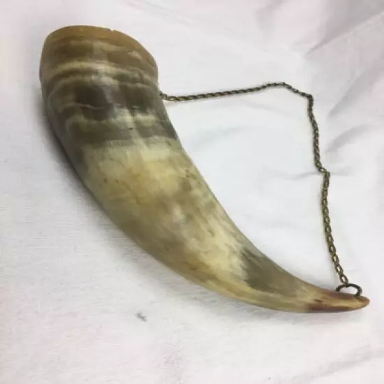 Vintage Large Open Hollow Empty Bull Powder Horn on Chain 