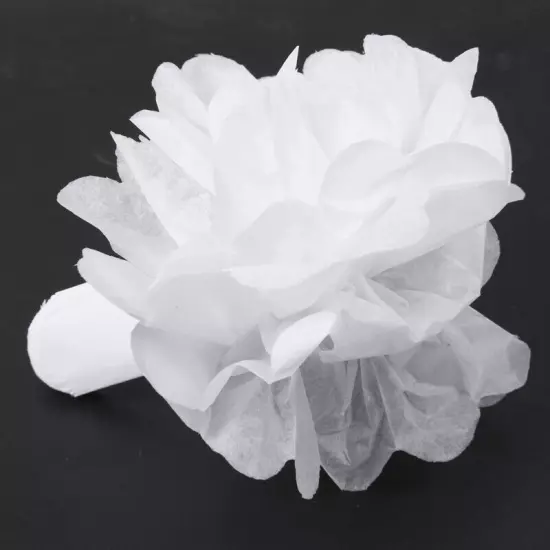 30pcs 4" 6" 8"(10cm 15cm 20cm) Tissue Pompoms Flower Balls Wedding Pom7272