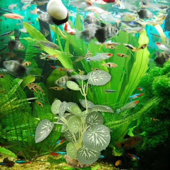 Aquarium Artificial Waterweed Fish Tank Grass Water Plants Landscaping Dec D2P1