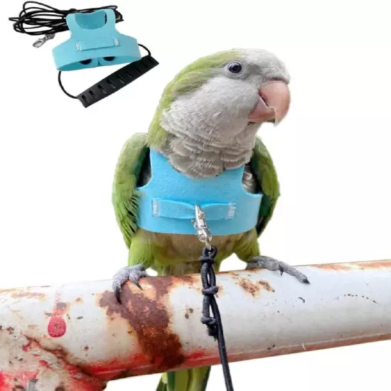 HEZHUO Bird Flight Harness Vest, Parrot Suit with Leash for S, Blue 