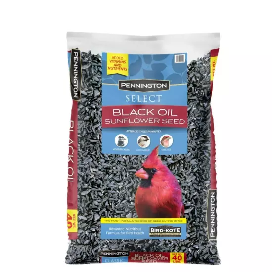 Pennington Select Black Oil Sunflower Seed Dry Wild Bird Feed, 40 lb. Bag, 1 Pac