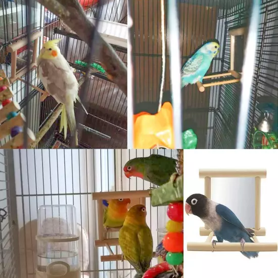 Bird Toy for Parrot Parakeets Conures Cockatiels Cage Swing Wooden Mirror Fun...