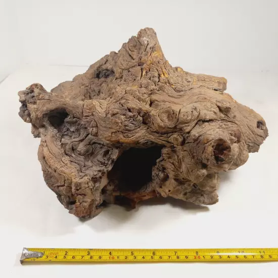 Natural Unique Wood for Reptile Terrarium Or Decoration, Wood Species Unknown