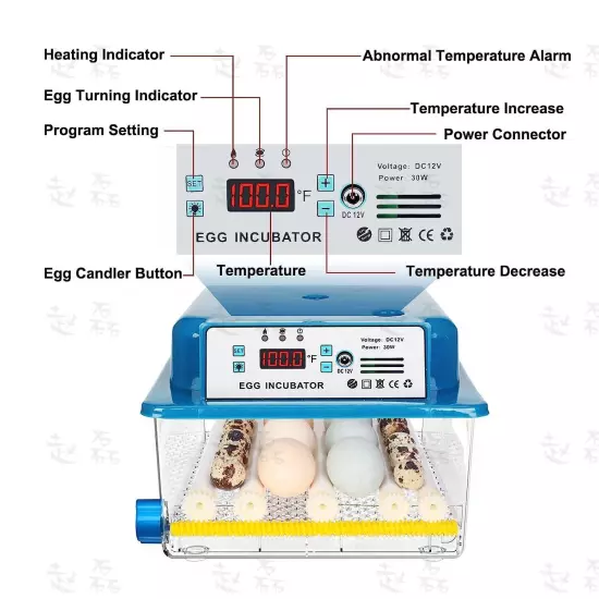 Egg Incubator Automatic Chicken Quail Chick Hatcher Incubators for Hatching Eggs