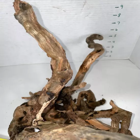 Driftwood Root Taxidermy Beach Lake Mountain Wedding Centerpiece Shower