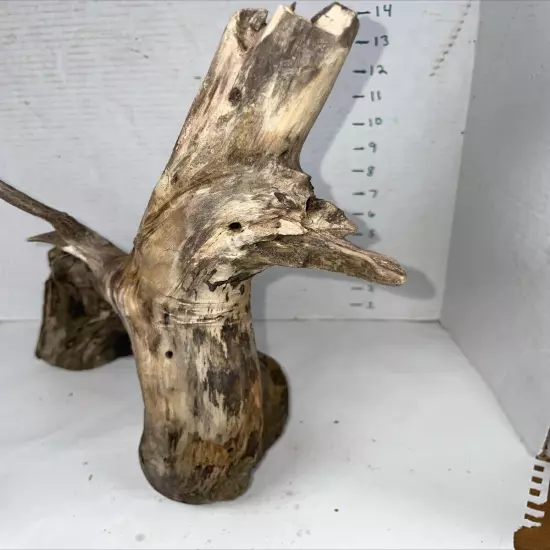 Driftwood Taxidermy Beach Lake Mountain House Wedding Reception