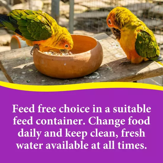 3-D Pet Products Premium Cockatiel Mix Bird Food Seeds, with Probiotics, 9 lb