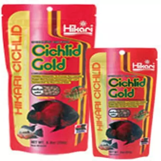 Hikari 8.8-Ounce Cichlid Gold Floating Pellets for Pets, Mini