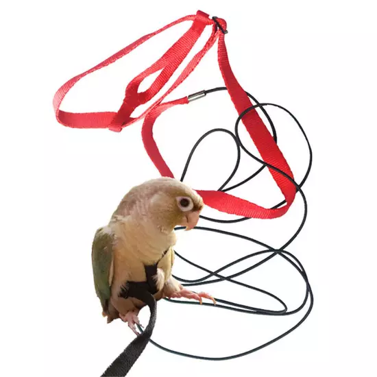 Adjustable Bird Fly Harness Leash Rope Birds Parrot Outdoor Free Flight Training