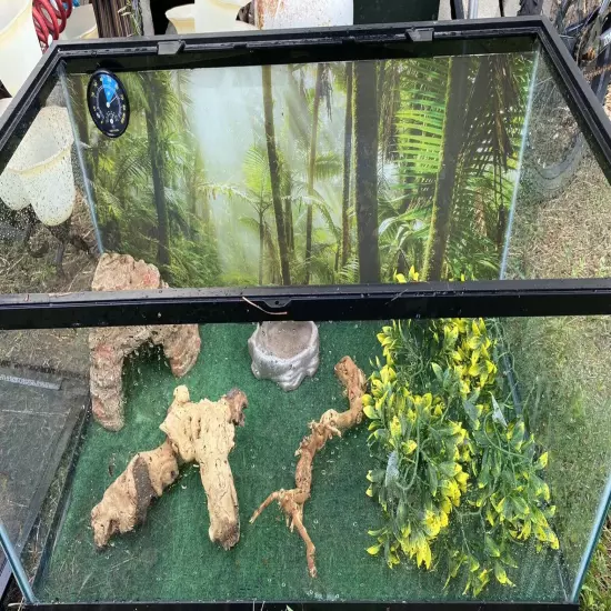 reptile cage