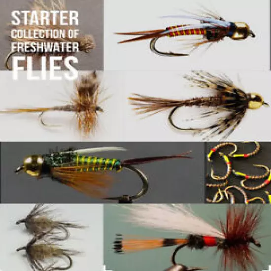 24 Premium Fresh water Fly Collection