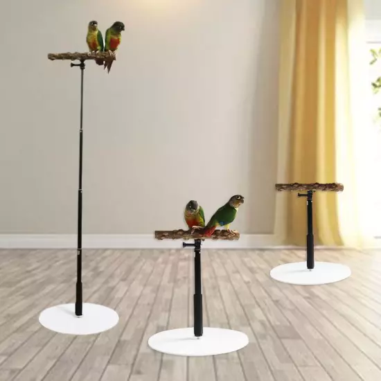 Stable Bird Parrot Training Exercise Adjustable Playstand Cage DD