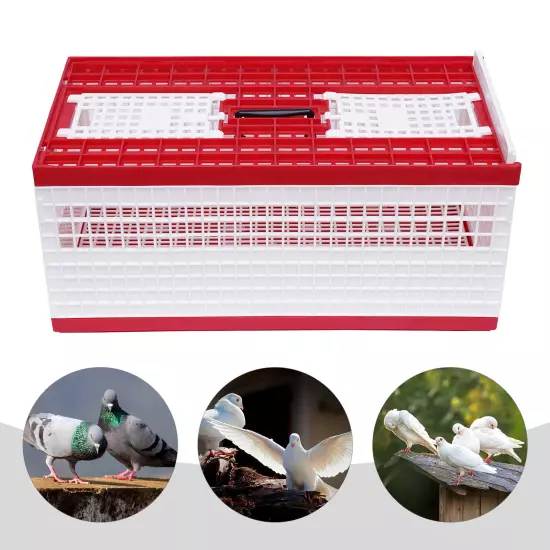 14 Birds Pigeon Training Basket Folding Collapsing Cage Nest Bird Box w/ 4 Doors