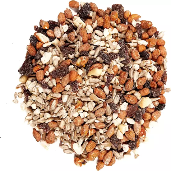 82072 Gourmet Nut & Fruit Wild Bird Food, 5 Pound (Pack of 1)