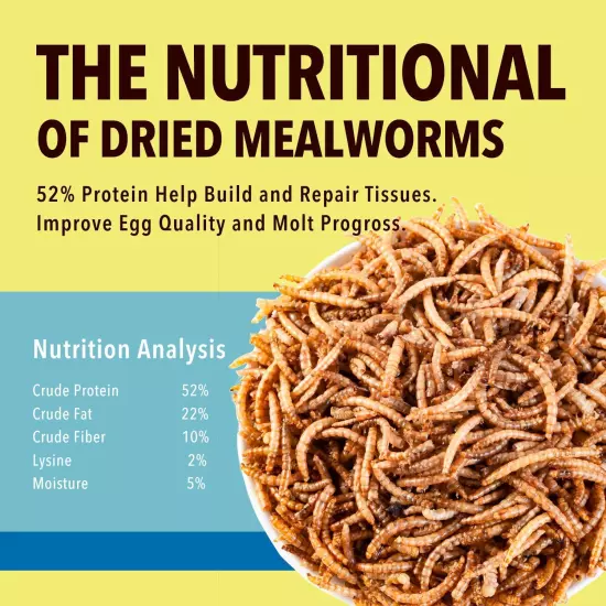 10Lb Dried Mealworms for Wild Birds Premium Non-Gmo Organic Chickens Feed, for L