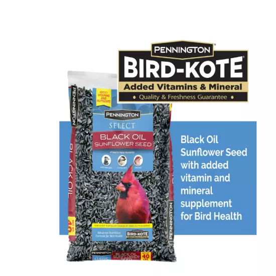 Pennington Select Black Oil Sunflower Seed Dry Wild Bird Feed, 40 lb. Bag, 1 Pac