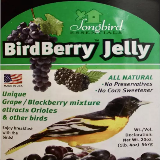 Essentials Bird Berry Jelly, 20 Oz: Perfect for Attracting Birds