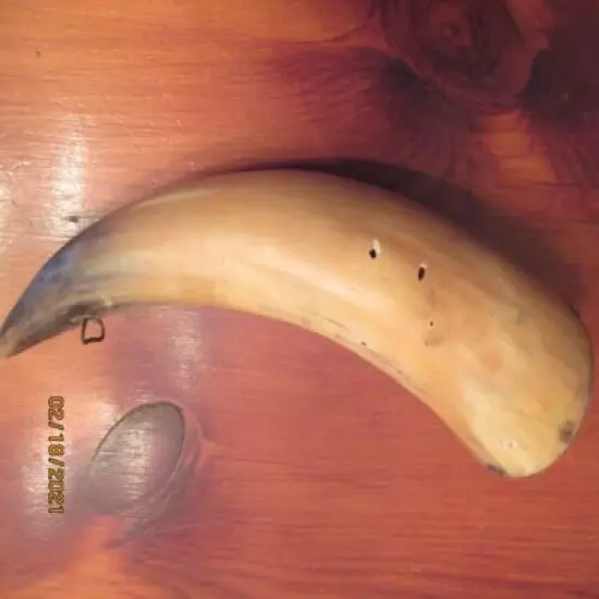 ANTIQUE BLACK POWDER HORN 10" FROM TIP TO TIP