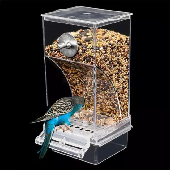 New Pet Feeders Automatic Parrot Feeder Drinker Food Container Cage Accessoies