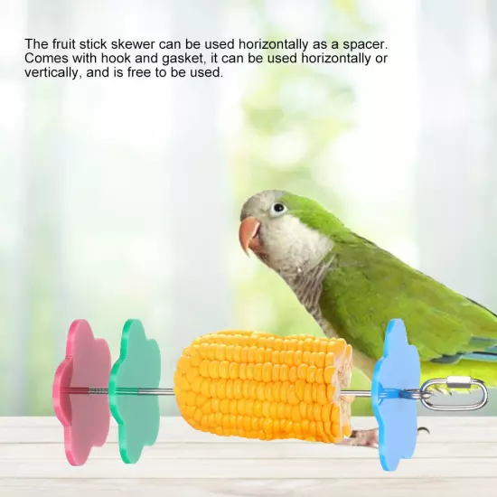 Multifunction Stainless Steel Parrot Cage Fruit Holder Corn Stick Skewer Feed