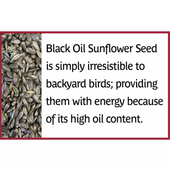 Select Black Oil Sunflower Seed Dry Wild Bird Feed, 40 lb. Bag, 1 Pack