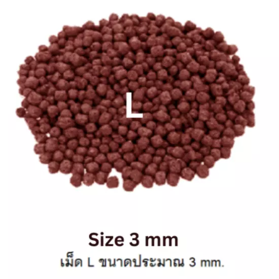 Okiko Fish Food Quick Red Head Mark Flowerhorn Cichlid Floating Pellets 100g x3