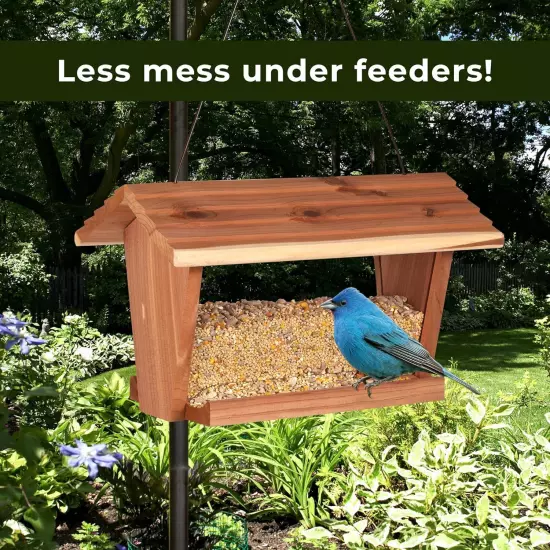 Wild Bird (No Mess or Waste Free) Food Seed Blend for Blue Jays, Woodpeckers