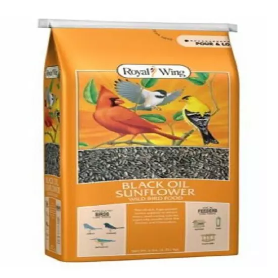 Royal Wing RWSWB-1 Pet Supplies 6 Pounds Black Oil Sunflower Wild Bird Food