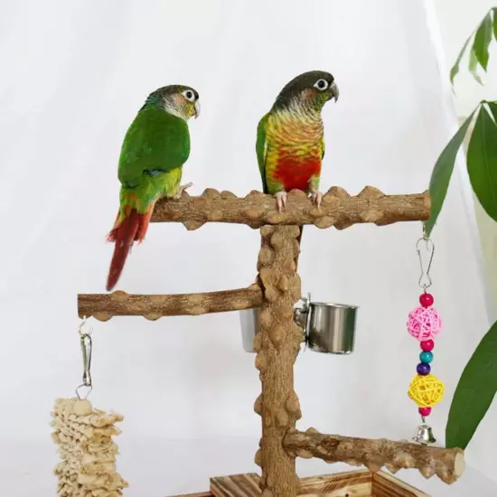 Bird Playground Cockatiel Bird Toy Parrot Playstand for Canaries Macaw Finch