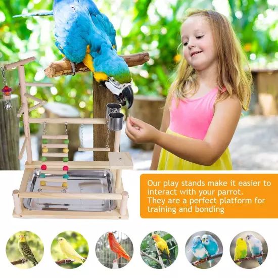 Parrots Playstand, Bird Playground, Bird Parrot Perch Stand, Parrot Climbing ...