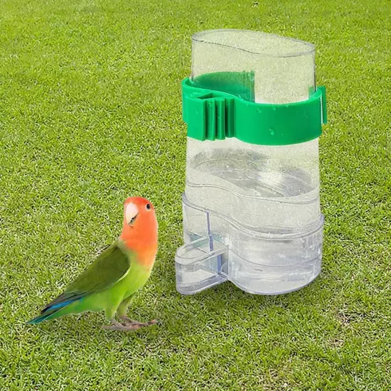 Birds Water Feeders Dispenser Automatic Bird Feeder Automatic Feeder Drink✧