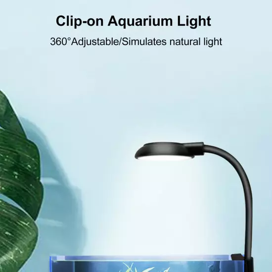 Fish Clamp Aquarium Aquatic Plants Fill Translucent H2S8