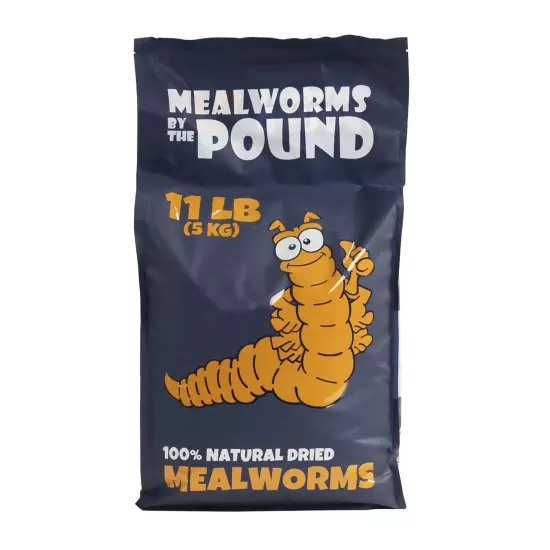 MBTP Bulk Dried Mealworms - Treats for Chickens & Wild Birds (11 Lbs)