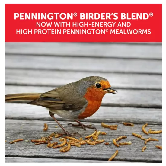 Pennington Select Birder's Mealworm Blend Dry Wild Bird Seed and Feed 10 lb. Bag