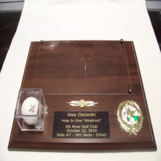 SPECIAL ORDER GOLF HOLE IN ONE PLAQUE 9" X 12" PERSONAL INFO PLATE IS 2" x 5" 