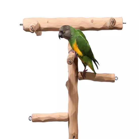 Deluxe Tabletop Parrot Climbing Tree - Tabletop Tree for Small to Medium Parrots