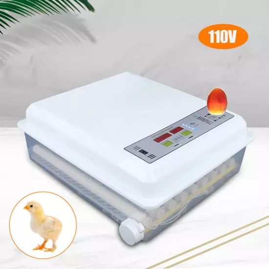 64 Digital Eggs Incubator Egg Hatcher With Temperature Control Automatic Turner