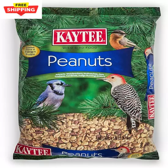 Shelled Peanuts for Woodpeckers, Nuthatches, Jays, Towhees, Cardinals, Indigo Bu