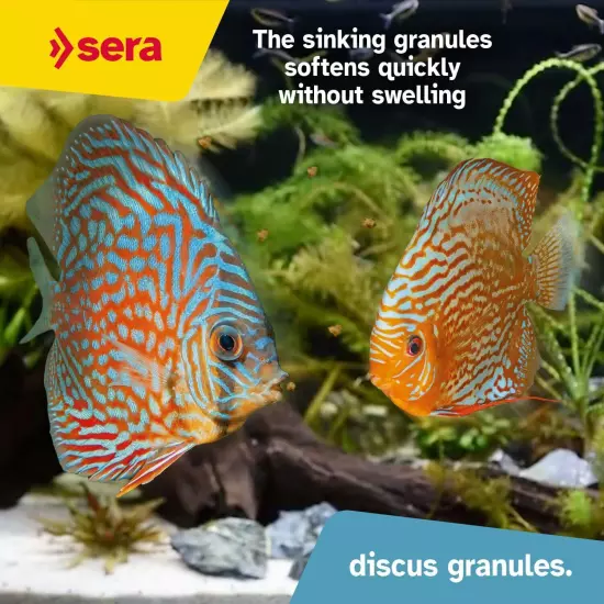 Sera Discus Granulate Nature 1000ml (33,8 fl oz) | Main Feed for All Discus & Or