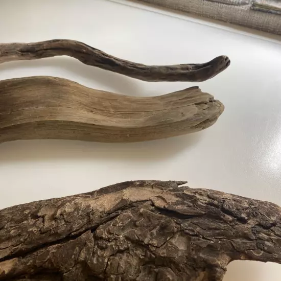 Driftwood Bark Shells For Terrarium ter4 zz