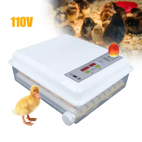 64 Digital Eggs Incubator Egg Hatcher With Temperature Control Automatic Turner