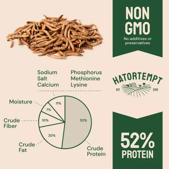 Hatortempt Dried Mealworms 5 lbs – Premium Organic Non-GMO Dried Mealworms