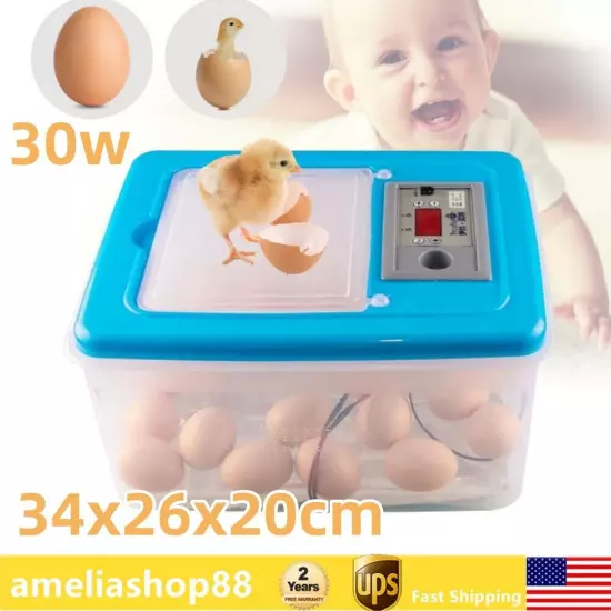 New Poultry Egg Incubator / Bird Parrot Eggs Incubator