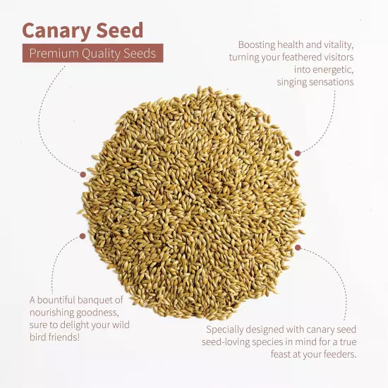 Premium Canary Seed for Birds (5 LBS)