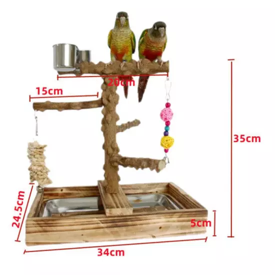 Parrot Playstand Bird Playground Perch Gym Training Stand Toys with Feeder Cup