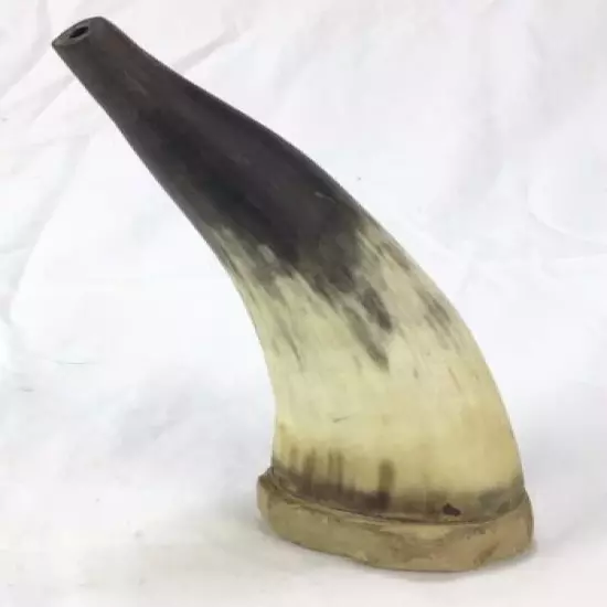 Powderhorn bull horn 