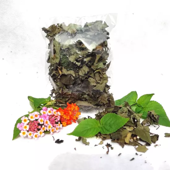 Ceylon Dried Lantana Camara Leaves Natural Shrub Verbena Angel Lips 100% Organic