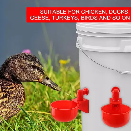 Automatic Cups Chicken Water Cup Bowl Feeder Drinker Waterer Poultry Chook Bird