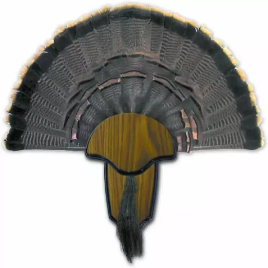 Turkey Tail Fan Mount Kit Trophy Strut Woodgrain Finish Plaque Mounting Hunting